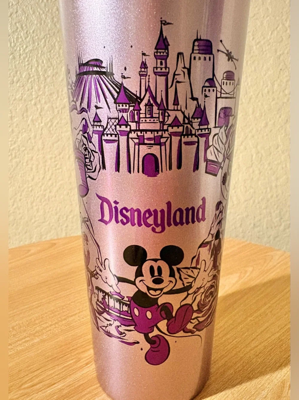 Starbucks Disneyland Purple Stainless Steel Tumbler Straw Icons Attractions NIB